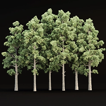 Pine Trees 3D Model Collection 3D model image 1 