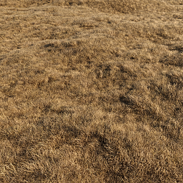 High-Quality Dried Grass Pack 3D model image 1 