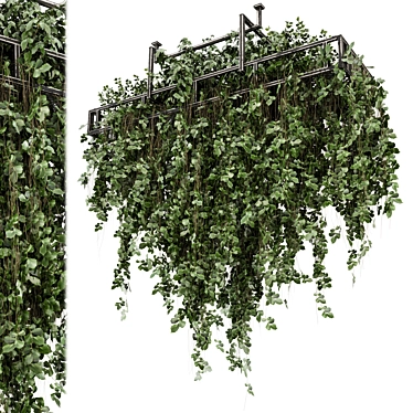 Metal Box Hanging Plants Set 3D model image 1 