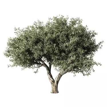 Majestic Olive Tree Sculpture 3D model image 1 