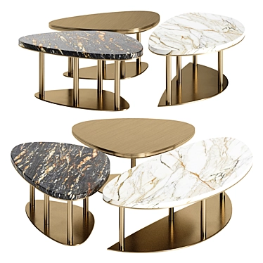 Elegant NINFEA Coffee Tables 3D model image 1 