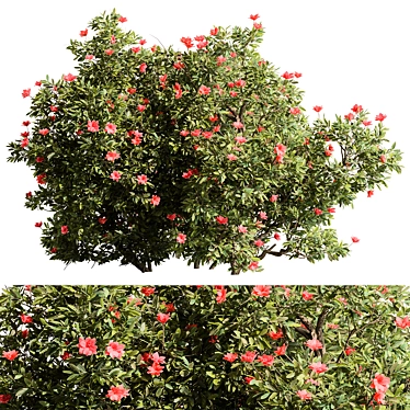 Creeper Flower Bush Collection 3D model image 1 