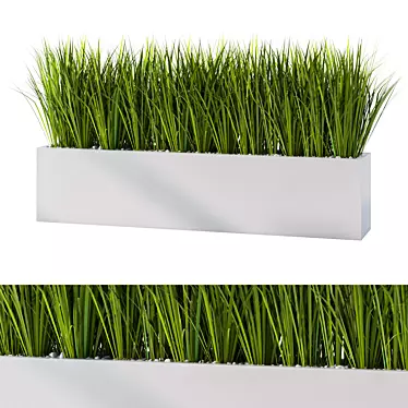 Lush Outdoor Grass Plant Set 3D model image 1 