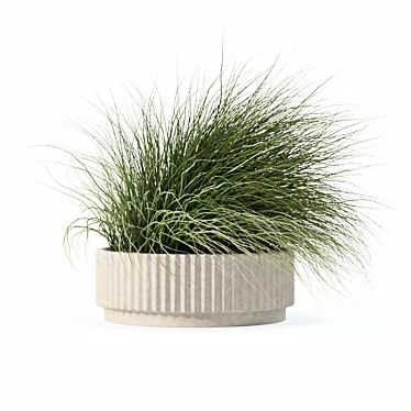 Eclectic Grass Collection 3D Model 3D model image 1 