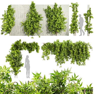 Creeping Ivy Collection Plant Vol562 3D model image 1 