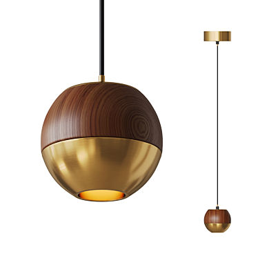 Sphere Metal and Wood Pendant 3D model image 1 