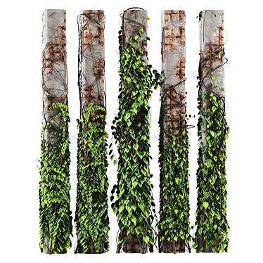 Ivy Plant Decor Set 3D model image 1 