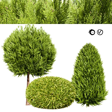 Whimsical Hetz Midget Topiaries 3D model image 1 