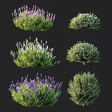  Spring Blossom 3D Models Bundle 3D model image 1 