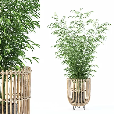 Bamboo Plants Collection 3D Model 3D model image 1 