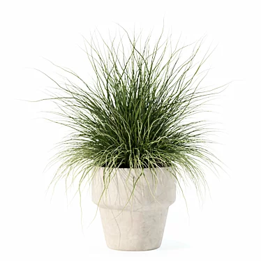 Plants collection 184 - grass