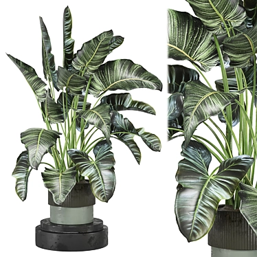 Indoor Greenery Collection - Set 1222 3D model image 1 