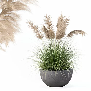 High-Quality Grass Plant Collection 3D model image 1 