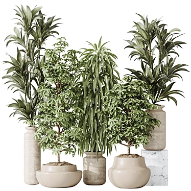 Elegant Indoor Plant Set Collection 3D model image 1 