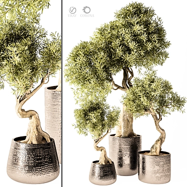 Modern Indoor Plant Model 3D model image 1 