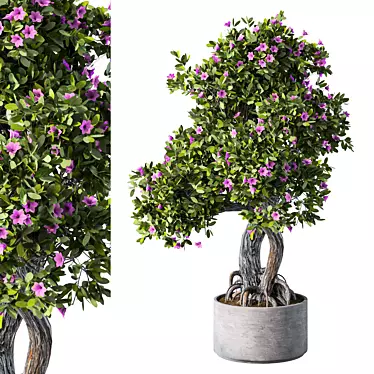 Leafy Trio Plant Set 113 3D model image 1 