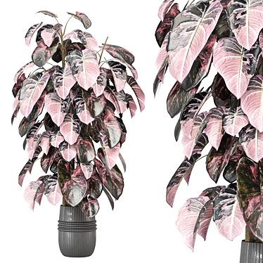 Lush Indoor Plants Collection 1236 3D model image 1 