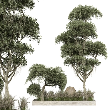 Outdoor Plant 267 3D Model 3D model image 1 