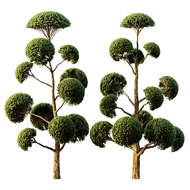 Elegant Spherical Tree Models 3D model image 1 