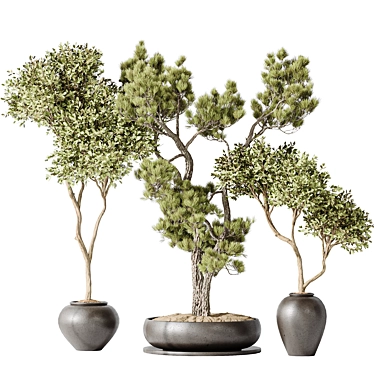 3D Indoor Plant Collection Set 3D model image 1 