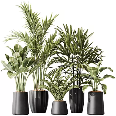 Variety Indoor Plant Set 40 3D model image 1 