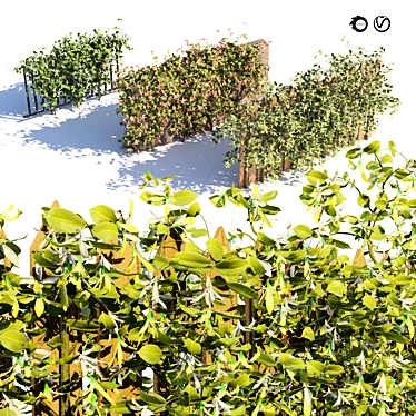 Honeysuckle Collection for 3D Renders 3D model image 1 