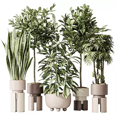 "Diverse Indoor Plant Set 3D 3D model image 1 