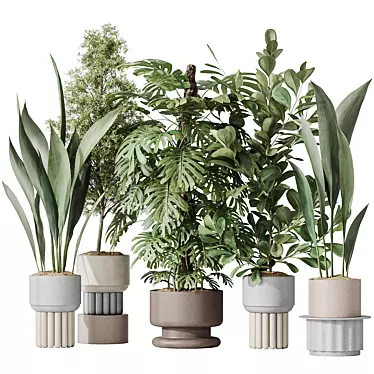 Elegant Indoor Plant Bundle 3D model image 1 