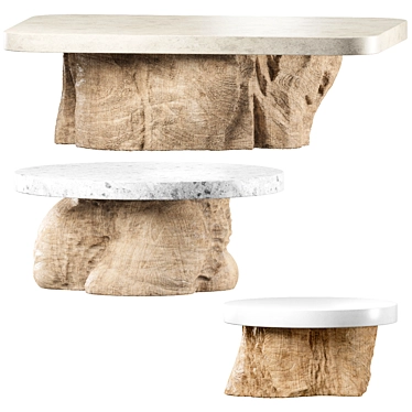 Ethnic Wood and Stone Tables 3D model image 1 