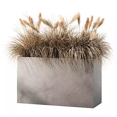 Outdoor Dried Plant Set Kit 3D model image 1 