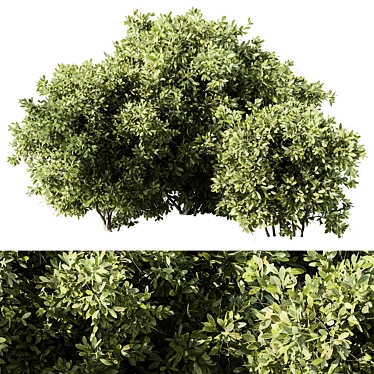 139-Piece Mixed Plant Bush Set 3D model image 1 