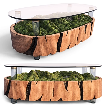 Mossy Wood Terrarium Coffee Table 3D model image 1 