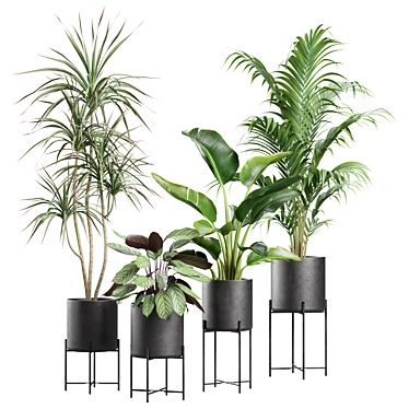 Exotic Indoor Plants Collection 3D model image 1 