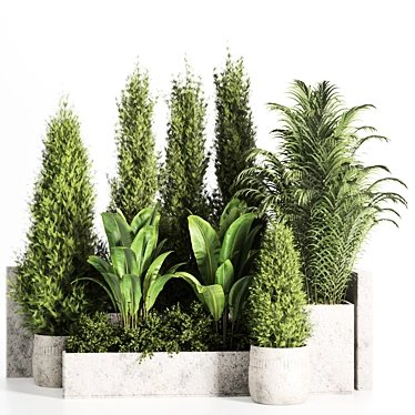 High-Quality Outdoor Plants Set 3D model image 1 