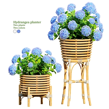 Hydrangea Planter Trio Set 3D model image 1 