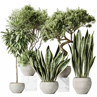 Luxury Indoor Plant Set - 3D Models 3D model image 1 