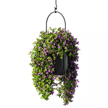  Contemporary Hanging Plant Set 3D model image 1 