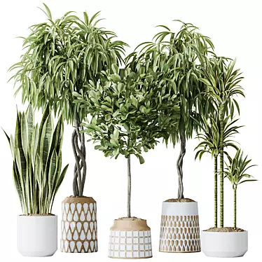 Tropical Indoor Plants Set Bundle 3D model image 1 