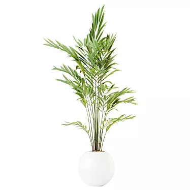 Lush Kentia Palm Artificial Plant 3D model image 1 