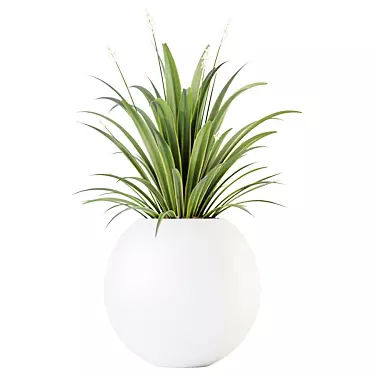Green Dracaena Cane Houseplant Deco 3D model image 1 