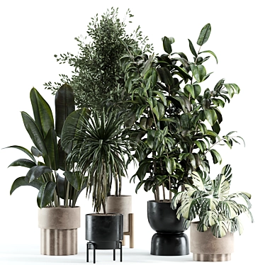 Elegant Model Indoor Plant 225 3D model image 1 