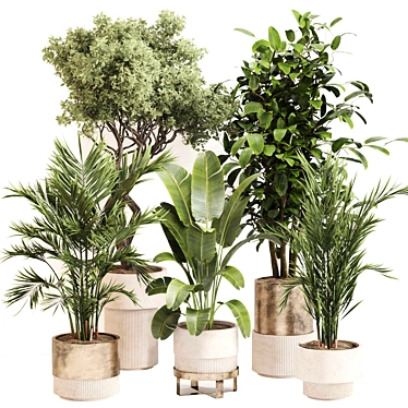 Indoor Plant Set 0118