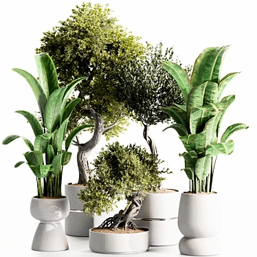 High-Quality Indoor Plants Set 3D model image 1 