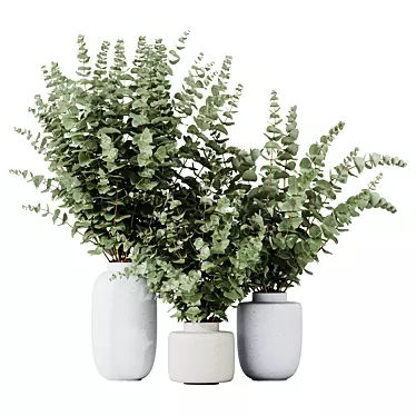 Eucalyptus Foliage Decor Set 3D model image 1 