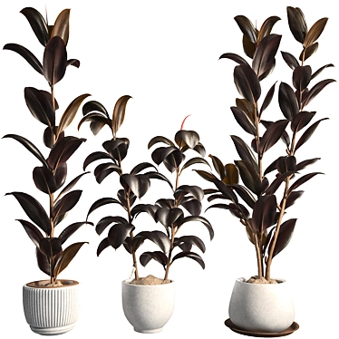 3DSky Plant & Decor Collections 3D model image 1 