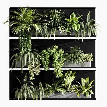 Premium Indoor Hanging Plant Set 3D model image 1 