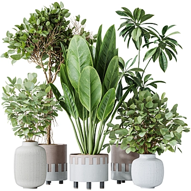 Indoor Plants Set 3D Models 3D model image 1 