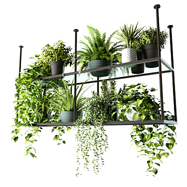 Hanging Shelf with Plants, Kitchen 3D model image 1 