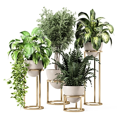 Rusty Concrete Pot Indoor Plants 3D model image 1 