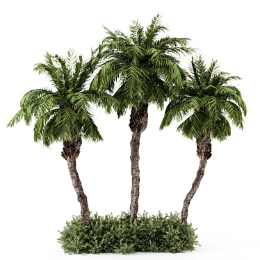 Palm Tree Plants Set 2378 3D model image 1 